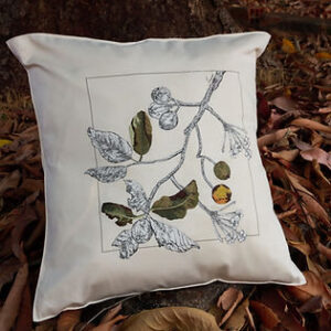 MyD Delivery Product Image