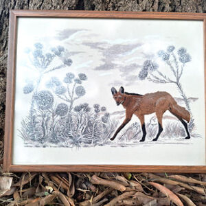 MyD Delivery Product Image