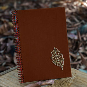 MyD Delivery Product Image