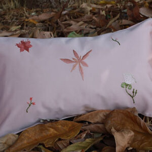 MyD Delivery Product Image