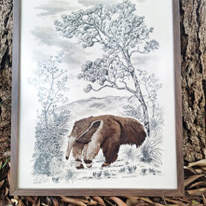 MyD Delivery Product Image