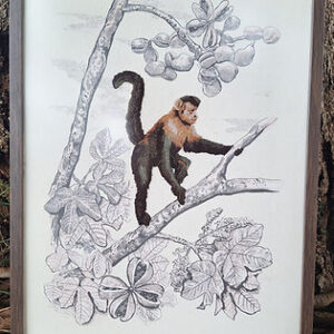 MyD Delivery Product Image