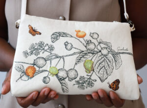 MyD Delivery Product Image