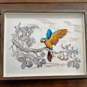 MyD Delivery Product Image