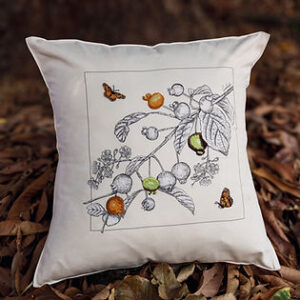 MyD Delivery Product Image