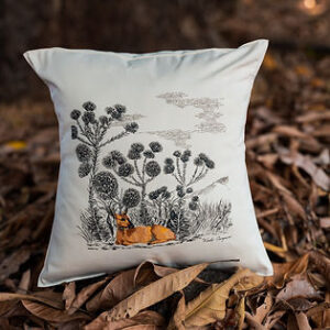 MyD Delivery Product Image